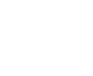 Evolution games at Screenshot Casino